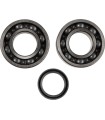 CRANK BEARING SEAL KIT