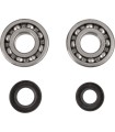 CRANK BEARING SEAL KIT