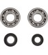 CRANK BEARING SEAL KIT