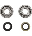 CRANK BEARING SEAL KIT