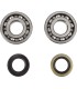 CRANK BEARING SEAL KIT