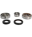 CRANK BEARING SEAL KIT