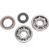 CRANK BEARING SEAL KIT