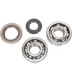 CRANK BEARING SEAL KIT