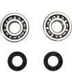 CRANK BEARING SEAL KIT