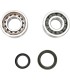 CRANK BEARING SEAL KIT