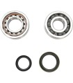 CRANK BEARING SEAL KIT