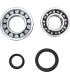 CRANK BEARING SEAL KIT
