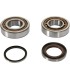 CRANK BEARING SEAL KIT