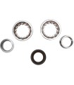 CRANK BEARING SEAL KIT