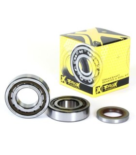 CRANK BEARING SEAL KIT
