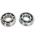 BEARINGS CRANK K091