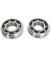 BEARINGS CRANK K091