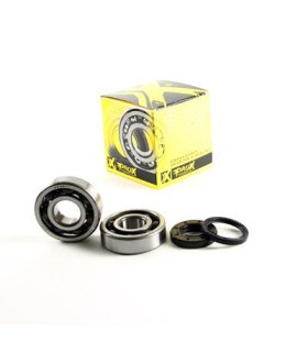 CRANK BEARING SEAL KIT
