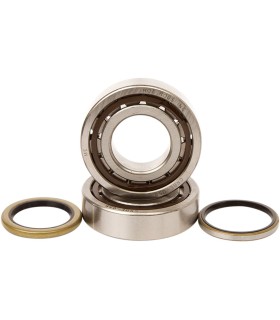 BEARINGS CRANK K069