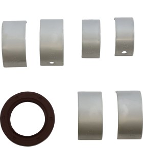 MAIN BRG SEAL KIT CAN AM