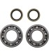 BEARING CRANK MSE BETA