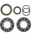 BEARING CRANK MSE BETA