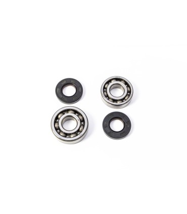 CRANK BEARING SEAL KIT