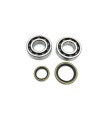 CRANK BEARING SEAL KIT