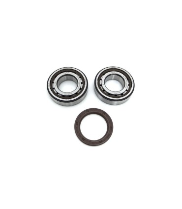CRANK BEARING SEAL KIT