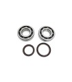 CRANK BEARING SEAL KIT