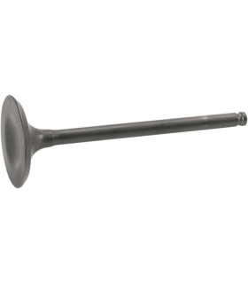 VALVE STEEL EX DRZ 400