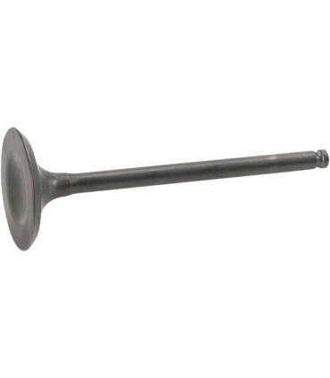 VALVE STEEL EX DRZ 400