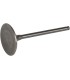 VALVE STEEL INT DRZ400