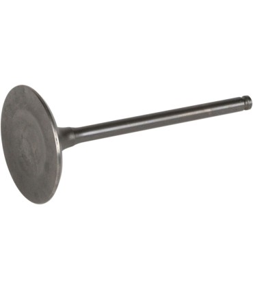 VALVE STEEL INT DRZ400