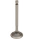 VALVE EX STEEL TTR/YBR125