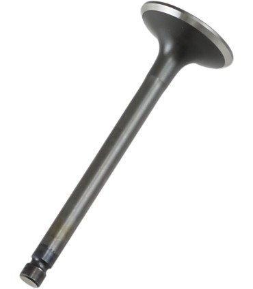 VALVE EX STEEL XT/TT/TTR600