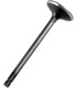 VALVE EX STEEL RAPTOR/GRIZZLY