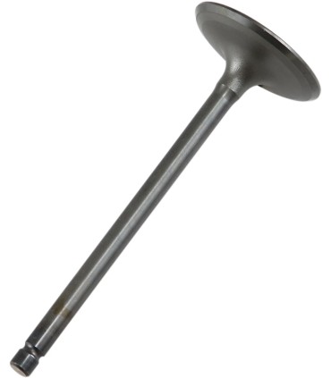 VALVE IN STEEL RAPTOR/GRIZZLY