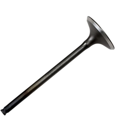 VALVE STEEL INT CRF150R