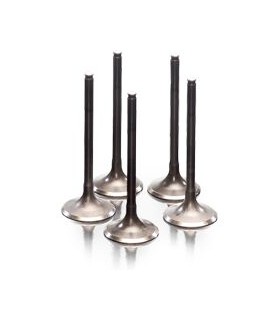 VALVE EX STEEL XT/TTR+MAJESTY