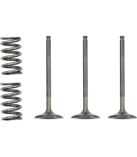VALVE IN/SPRING KIT YZ/WR450F