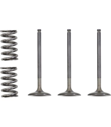 VALVE IN/SPRING KIT YZ/WR450F