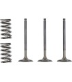VALVE IN/SPRING KIT YZ/WR450F