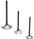 VALVE TITAN INT CRF250R