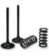 VALVE IN/SPRING KIT LT-R450