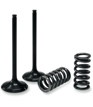 VALVE EX/SPRING KIT YZ/WR250F