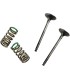 VALVE EX/SPRING KIT YZ/WR250F