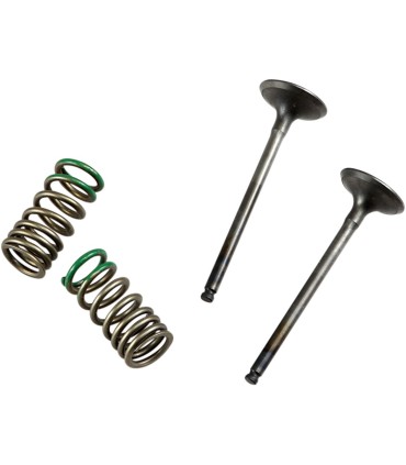 VALVE EX/SPRING KIT YZ/WR250F