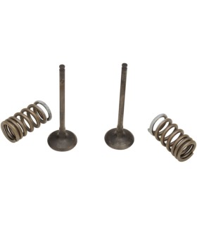 VALVE EX/SPRING KIT RM-Z250