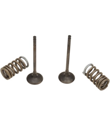 VALVE EX/SPRING KIT RM-Z250