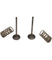 KIT DE RESSORT DE SOUPAPE EX/RM-Z250