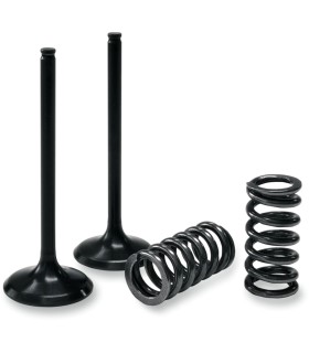 VALVE EX/SPRING KX250F+RMZ250
