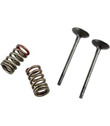 VALVE EX/SPRING KX250F+RMZ250