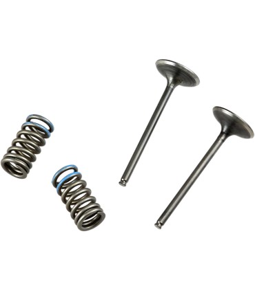 VALVE IN/SPRING KIT CRF250R